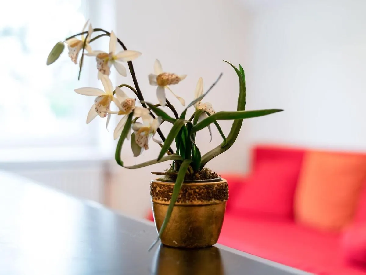 Lively Holiday Home In Wien With Private Garden 0*, Vienna